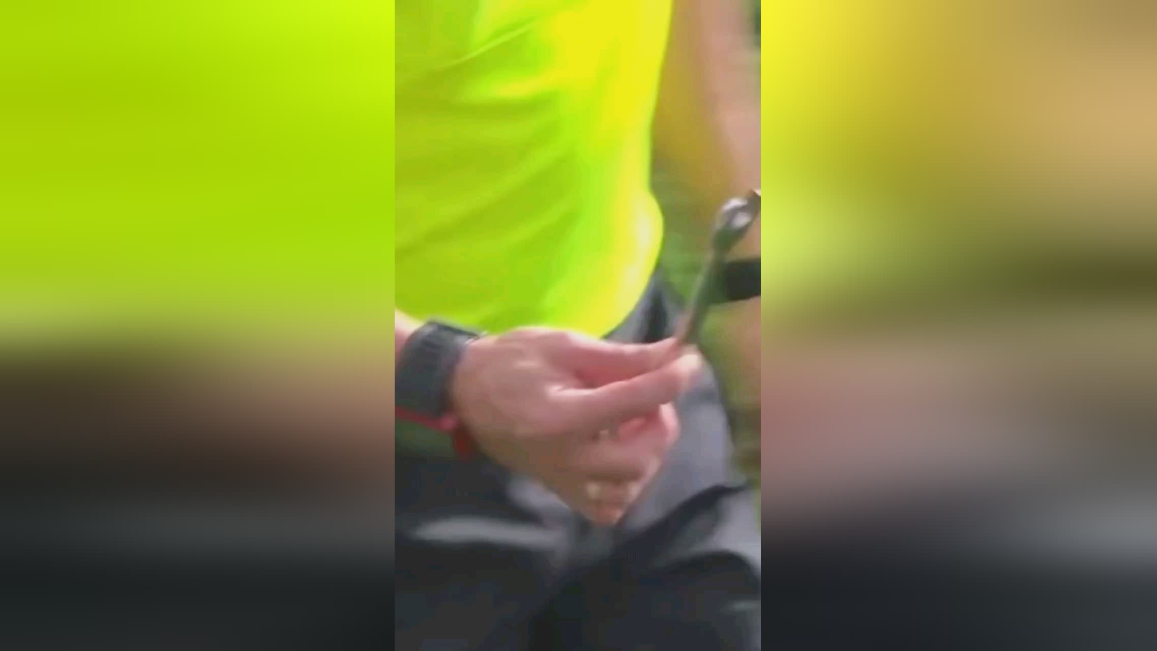 特长发